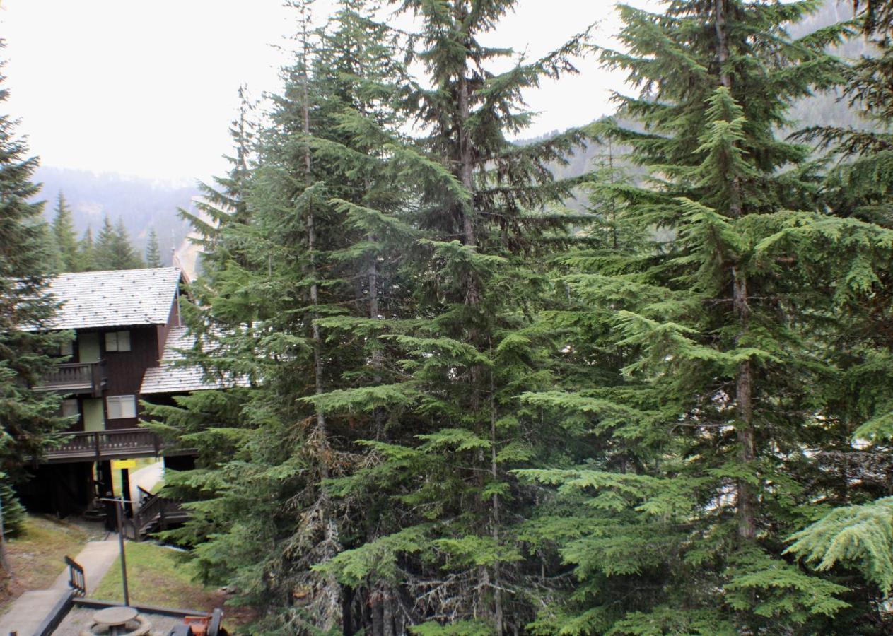 Crystal Chalets Greenwater Eksteriør bilde